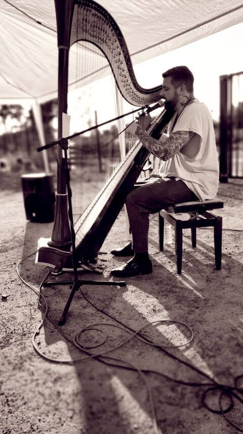 reprises pop rock a la harpe lille hauts de france