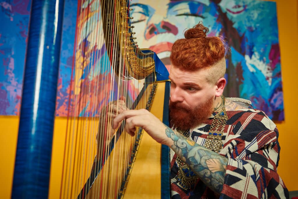 musicien cover reprises à la harp de morceaux connues et actuels à Lille et dans les hauts de France
