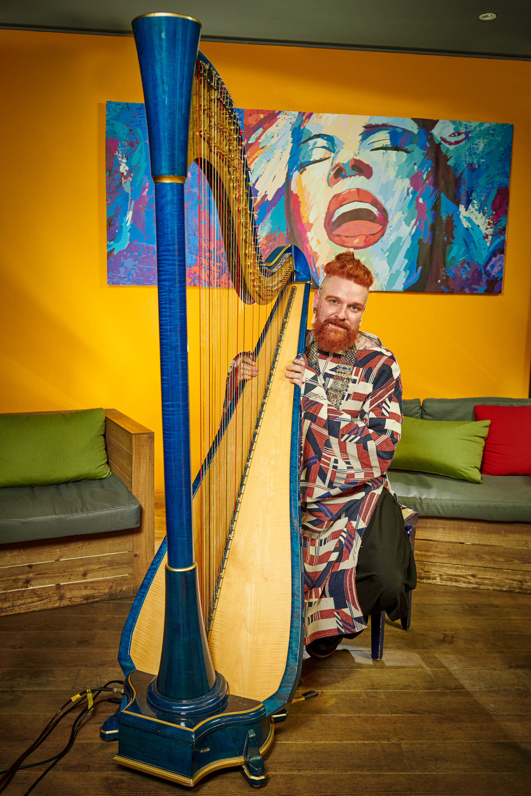 Musique harpe Lille