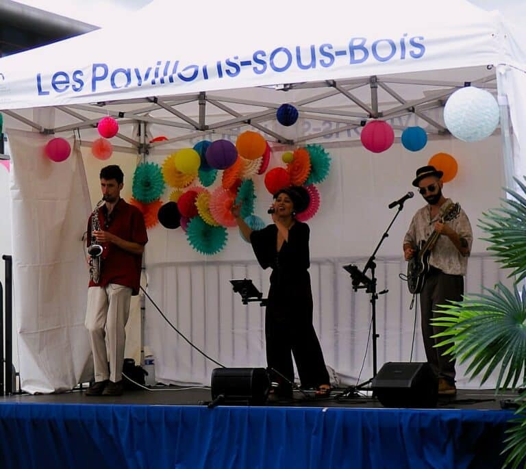 Paris coktail - animation - concert - Paris